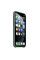 Чехол-накладка Apple Silicone Case for iPhone 11, Pine Green (HC)