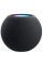 Smart колонка Apple HomePod mini Space Gray (MY5G2)