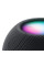 Smart колонка Apple HomePod mini Space Gray (MY5G2)