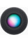 Smart колонка Apple HomePod mini Space Gray (MY5G2)