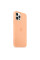 Силиконовый чехол-накладка Apple Silicone Case for iPhone 12/12 Pro, Cantaloupe (HC)(A)