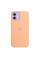 Силиконовый чехол-накладка Apple Silicone Case for iPhone 12/12 Pro, Cantaloupe (HC)(A)
