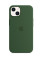 Силиконовый чехол-накладка Silicone Case with MagSafe for iPhone 13, Clover (HC)