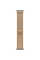 Смарт-часы Apple Watch Ultra 4 Natural Titanium Case with Sand Trail Loop - M/L (MJAQ4)