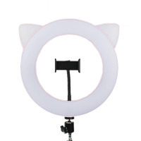Кольцевая светодиодная лампа Halo Led Ring 27sm Cat