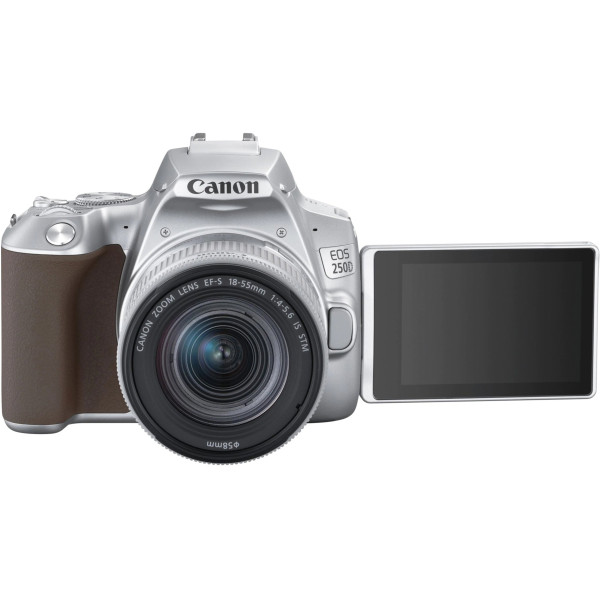 Компактный фотоаппарат Canon EOS 250D kit (18-55mm) EF-S IS STM Silver (3461C003)