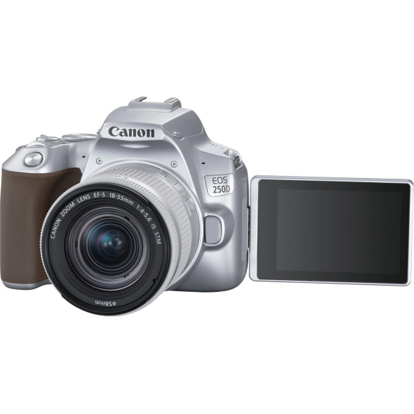 Компактный фотоаппарат Canon EOS 250D kit (18-55mm) EF-S IS STM Silver (3461C003)