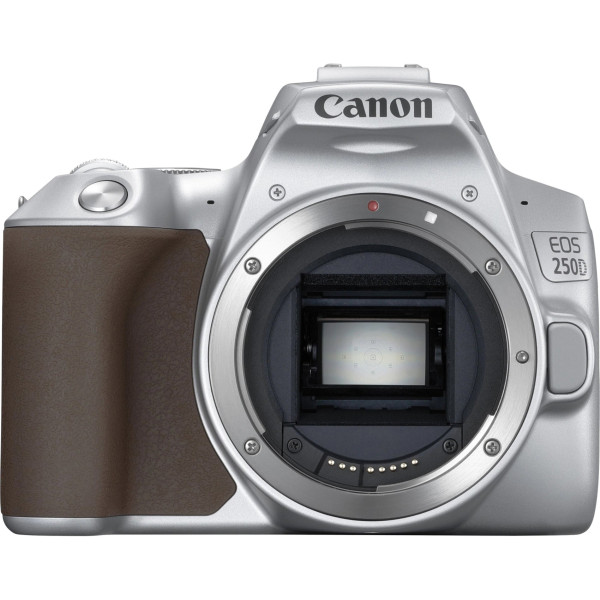 Компактный фотоаппарат Canon EOS 250D kit (18-55mm) EF-S IS STM Silver (3461C003)