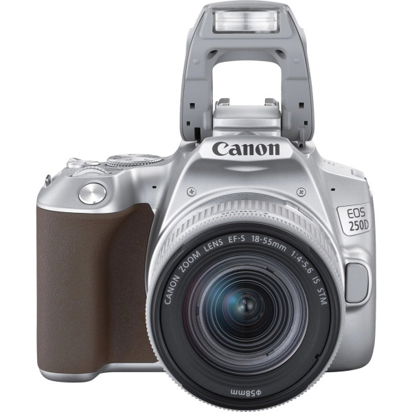 Компактный фотоаппарат Canon EOS 250D kit (18-55mm) EF-S IS STM Silver (3461C003)