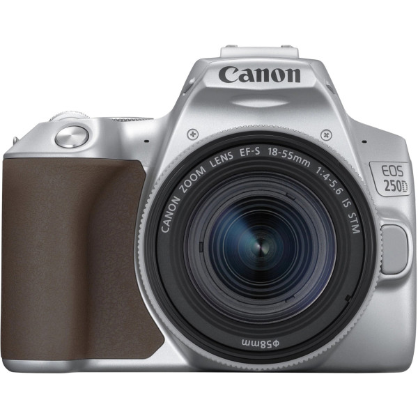 Компактный фотоаппарат Canon EOS 250D kit (18-55mm) EF-S IS STM Silver (3461C003)