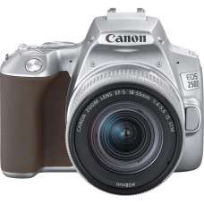 Компактный фотоаппарат Canon EOS 250D kit (18-55mm) EF-S IS STM Silver (3461C003)