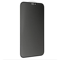 Защитное стекло 3D Privacy Glass Protector for iPhone 11 Pro Max/Xs Max