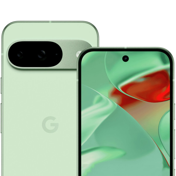 Смартфон Google Pixel 9 12/128GB Wintergreen