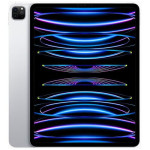 iPad Pro 11 M2 (2022)