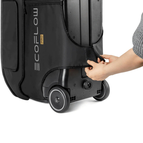 Сумка для зарядной станции EcoFlow DELTA Pro Bag (BDELTAPro)